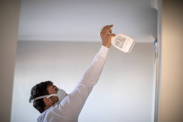 Best Mold Cleaning Services  in Hewlett, NY