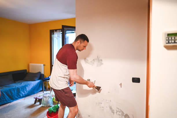 Best Black Mold Removal  in Hewlett, NY